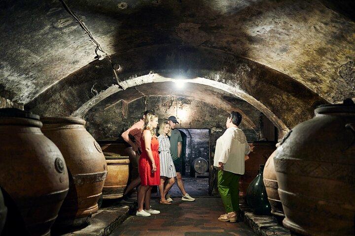 Tour and Wine Tasting, Villa Medicea Di Lilliano, Florence