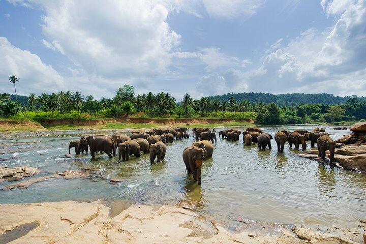 Full Day Serenity Adventure in Tarangire National Park