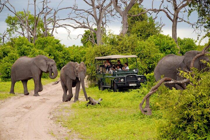 Full Day Serenity Adventure in Tarangire National Park