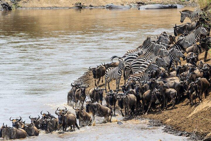 Northern Circuit Safari: 7Days from Arusha - Tanzania’s Top Parks