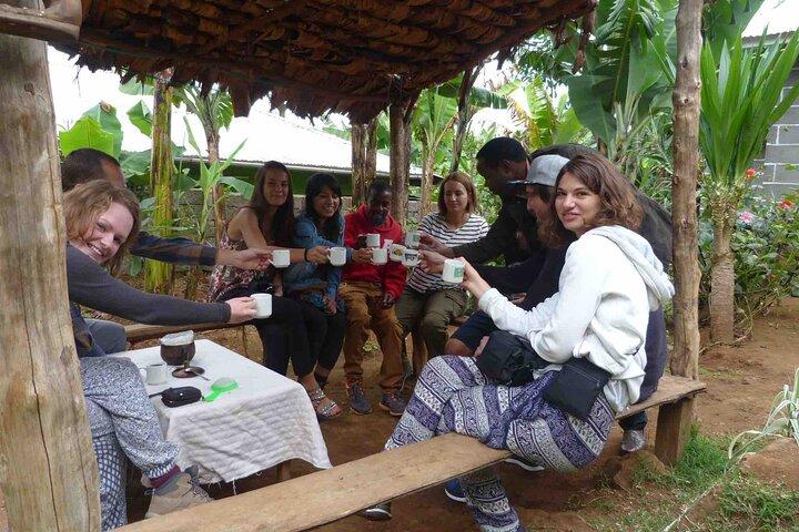 Private Materuni Waterfalls and Kikuletwa Hot Spring Tour