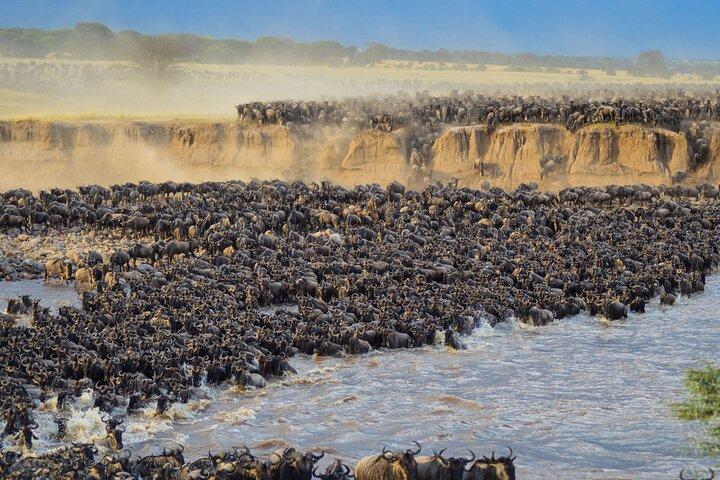 5 Days Mara River Crossing Wildebeest Migration in Serengeti