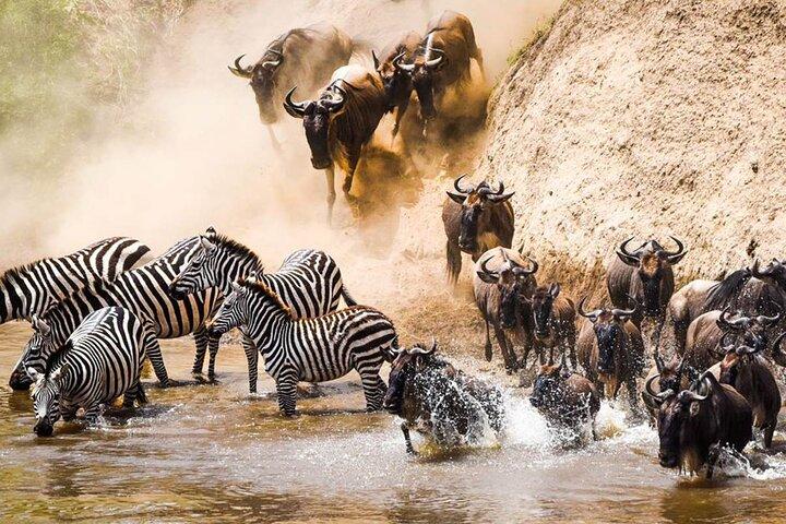 5 Days Mara River Crossing Wildebeest Migration in Serengeti