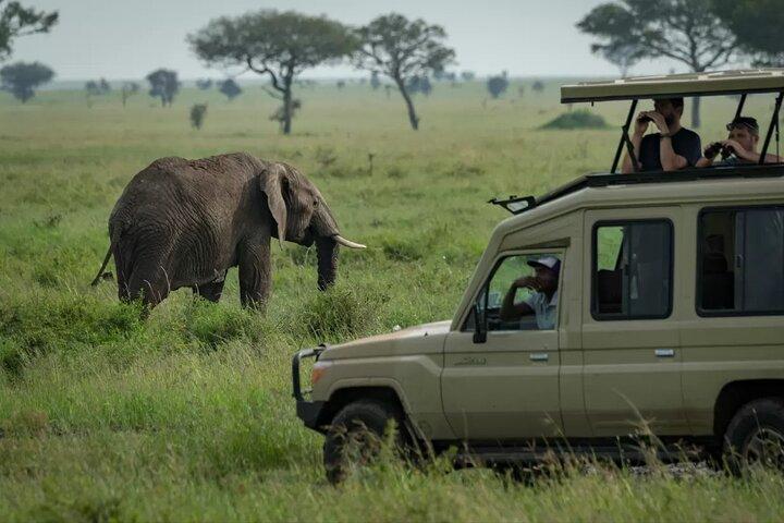 5 Days Mara River Crossing Wildebeest Migration in Serengeti
