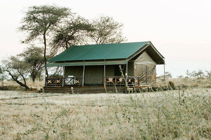 5 Days Mara River Crossing Wildebeest Migration in Serengeti