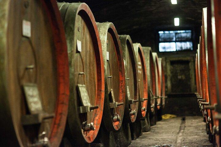 Wine Tasting Experience near Florence