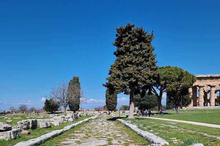 Half Day Private Tour to the Temples of Paestum
