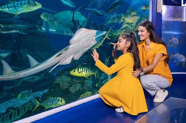 Dubai Aquarium And Underwater Zoo