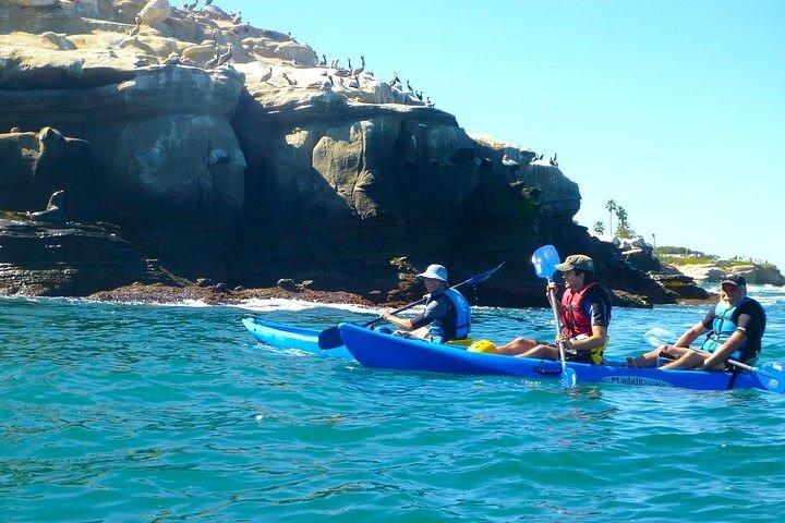 Kayak Rental For Two In La Jolla