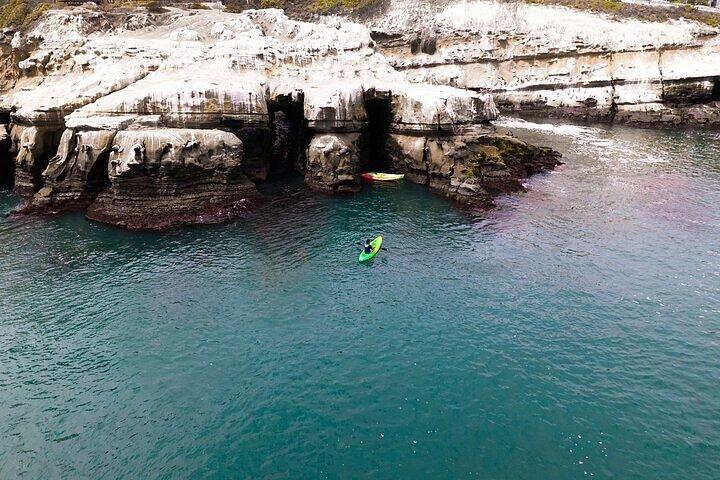 La Jolla Sea Caves Kayak Tour (Single Kayak)