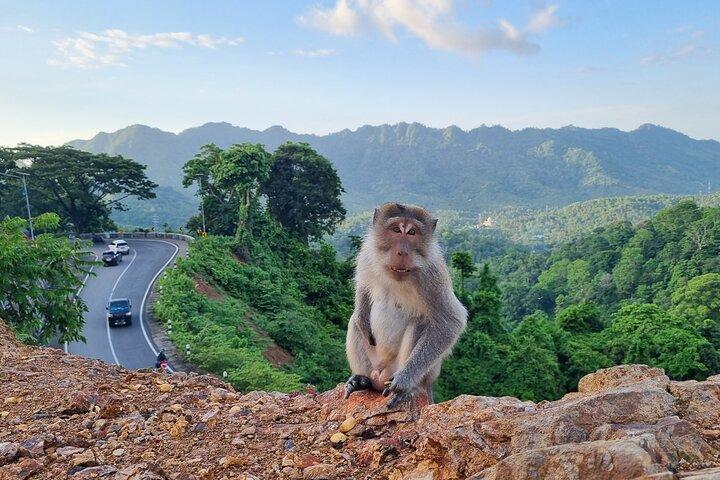 Best Lombok Rice Terrace Walking Tour With Waterfall & Monkey