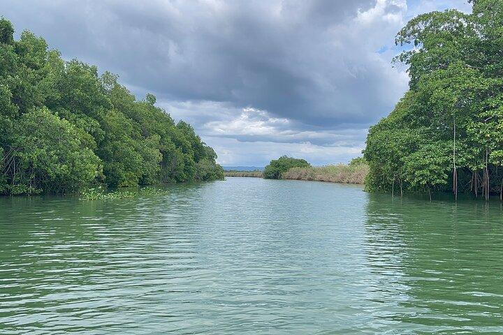 YS Falls and Black River Safari Including Pelican Bar Tour