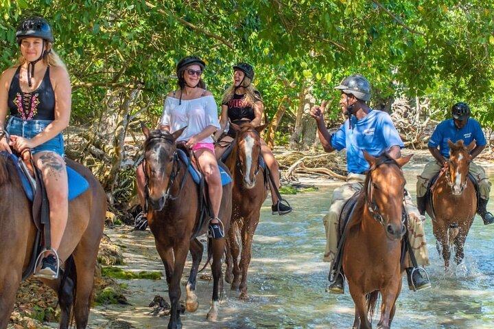 Horseback Riding + City Tour, Rum and Chocolate Factory
