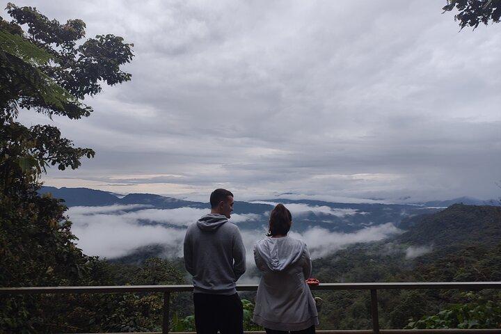 Mindo Cloud Forest Private Tour: Birdwatching, Birds & Nature