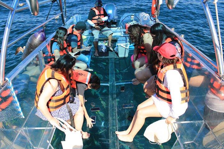 45 Minute Transparent Boat Ride to the Arch of Cabo San Lucas