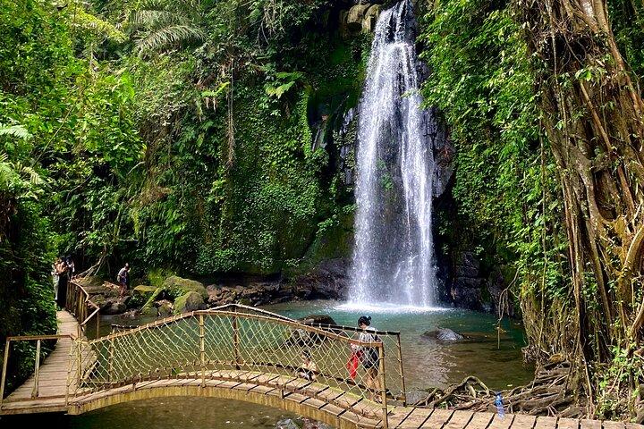 Ubud Private Tour: Monkey Forest, Rice Terrace, Temple, Waterfall