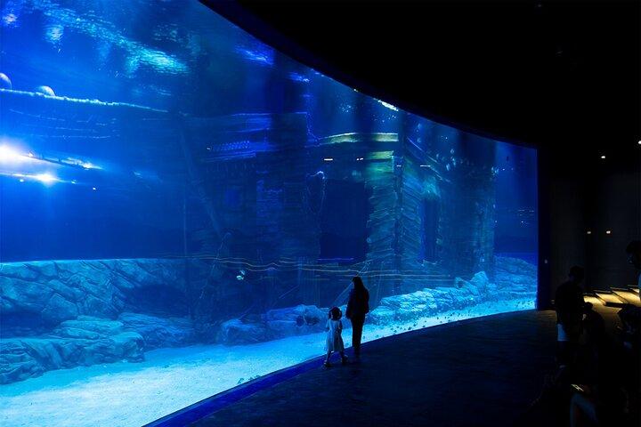 Lotte World Aquarium Hanoi Admission Ticket
