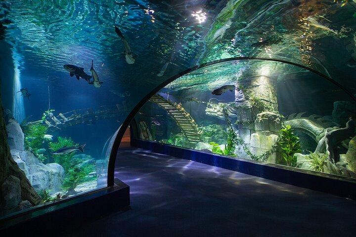 Lotte World Aquarium Hanoi Admission Ticket