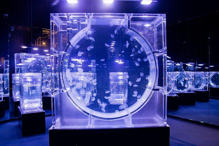 Lotte World Aquarium Hanoi Admission Ticket