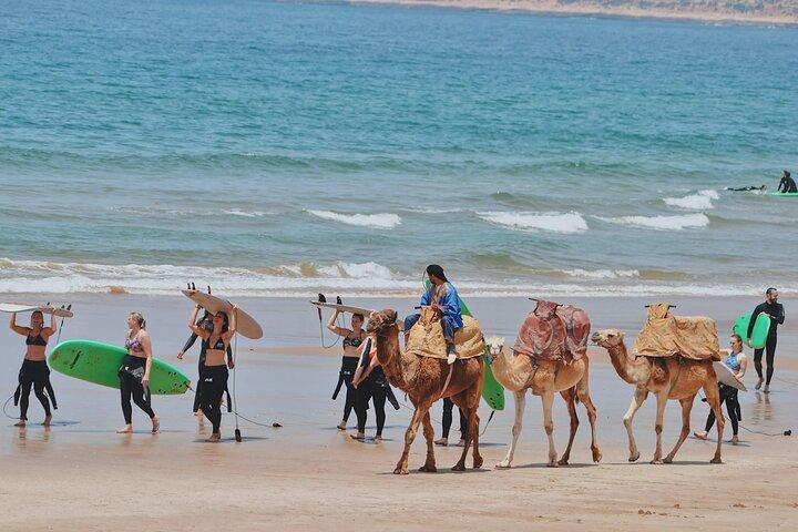 Private Day Trip Marrakech to Essaouira | UNESCO Coastal CityTour