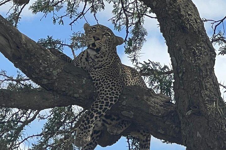 5 Day - Quadruple Package Zimbabwe, Zambia, Botswana & Namibia