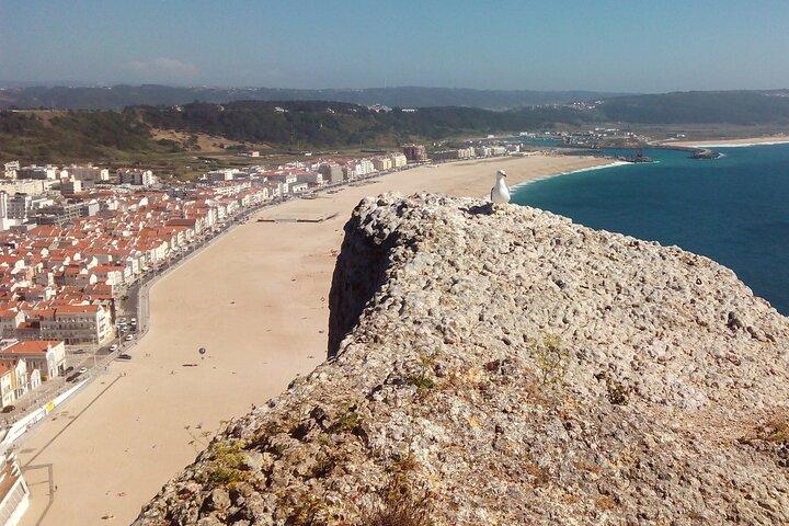 Discover Private Tour: Nazaré Canyon, Peniche and Medieval Óbidos