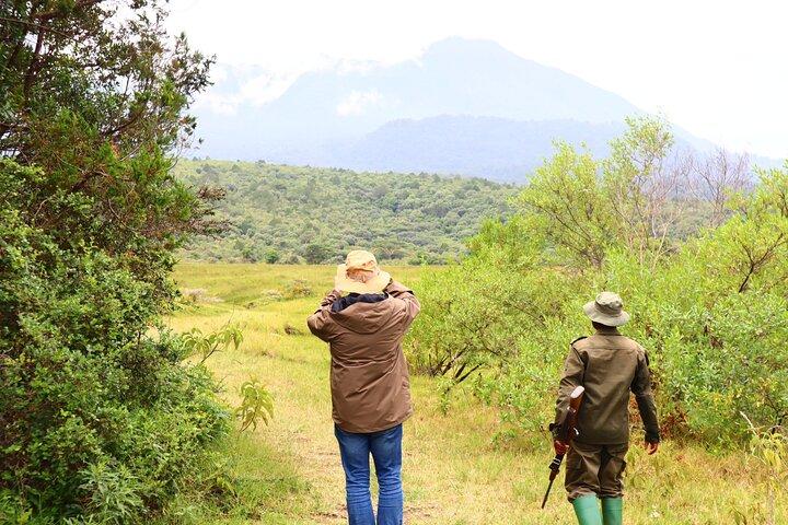 1 Day Arusha national park (Game drive and walking safari).