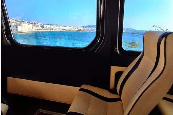 Private Shore Excursion in Mykonos - Port Pick up & Drop off