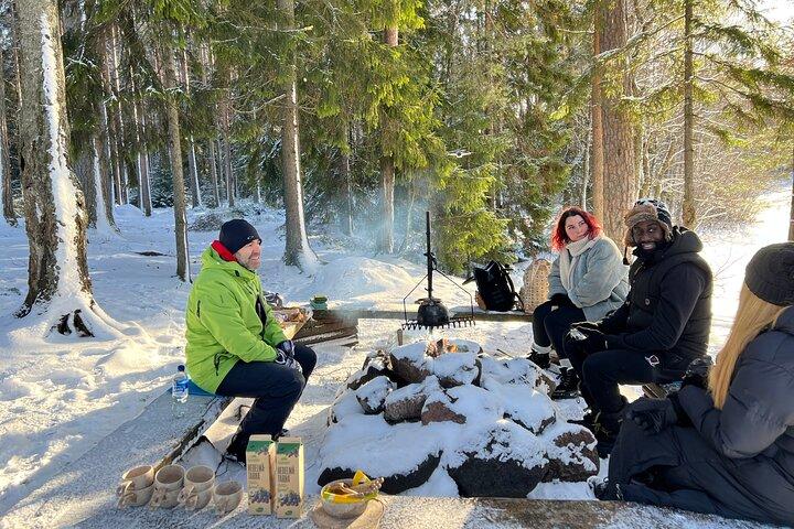 Winter Wonderland Hike in a National Park