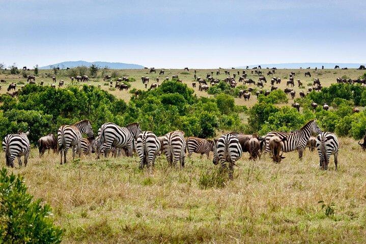 3 Days 2 Nights OlPejeta Safari From Nairobi