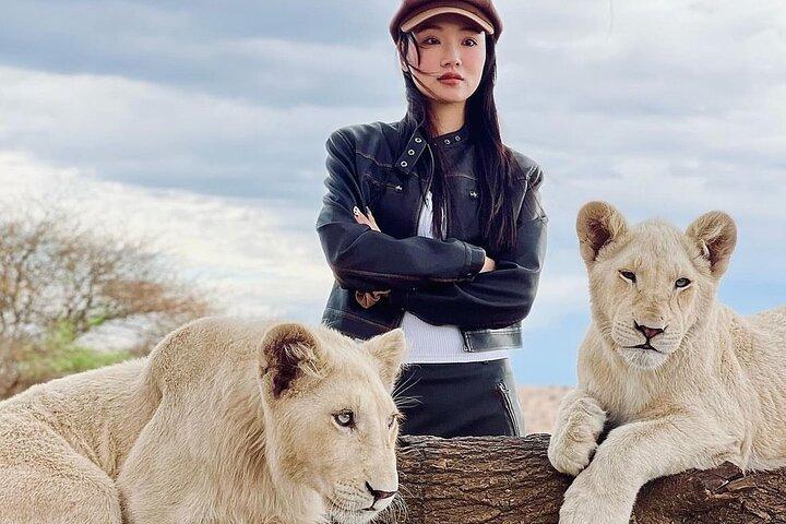 Wildlife encounter (Kilimanjaro, Tanzania)