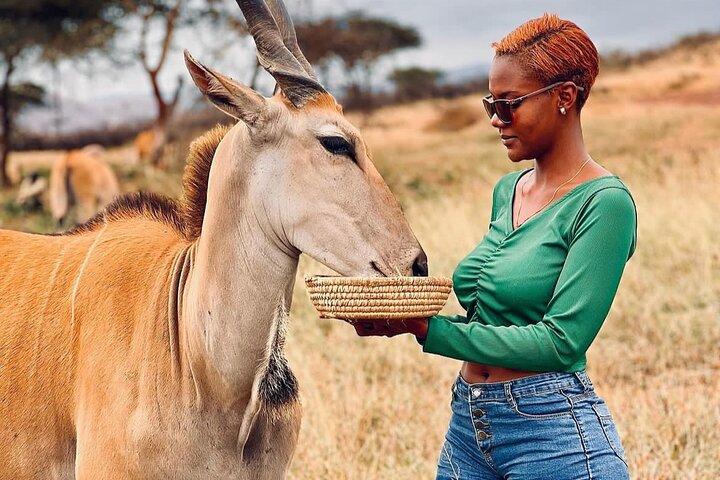 Wildlife encounter (Kilimanjaro, Tanzania)