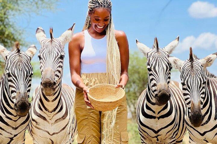 Wildlife encounter (Kilimanjaro, Tanzania)