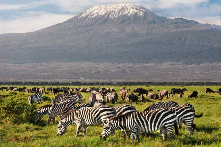 Overnight Amboseli National Park Safari