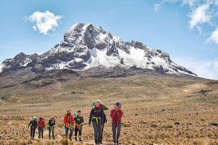 Day Tour in Mount Kenya from Nairobi with lunch