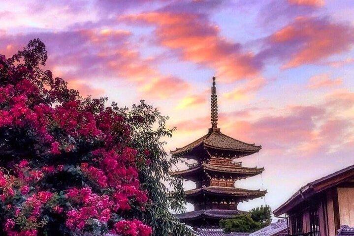 Kyoto, Osaka, Nara Private Tour by Car English Driver Guide