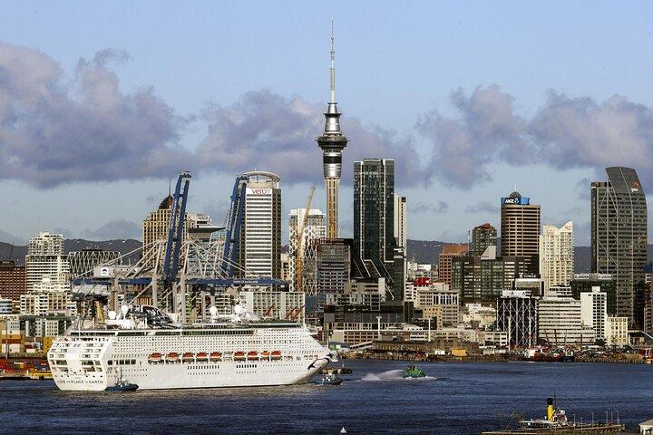 Auckland Private City Highlights Tour 5hrs Sightseeing Experience
