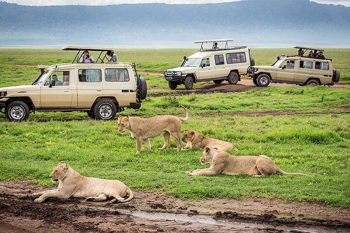2 Days Wildlife Safari in Tanzania