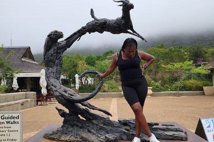 Robben Island Table Mountain and Kirstenbosch Sharing group tour