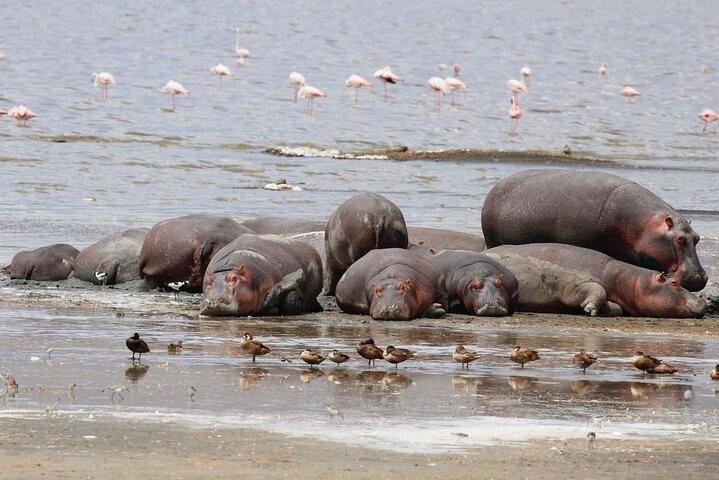 Zanzibar Beach and Nyerere Park Multiday Tours
