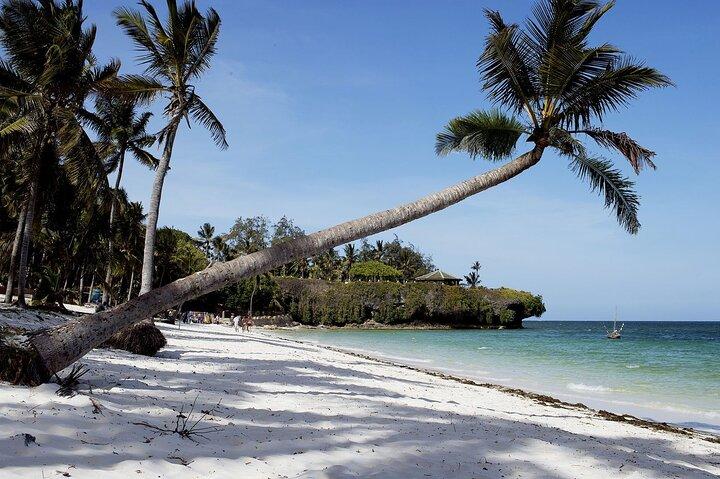 2 Days 1 Night Diani Beach Safari By Air From Nairobi