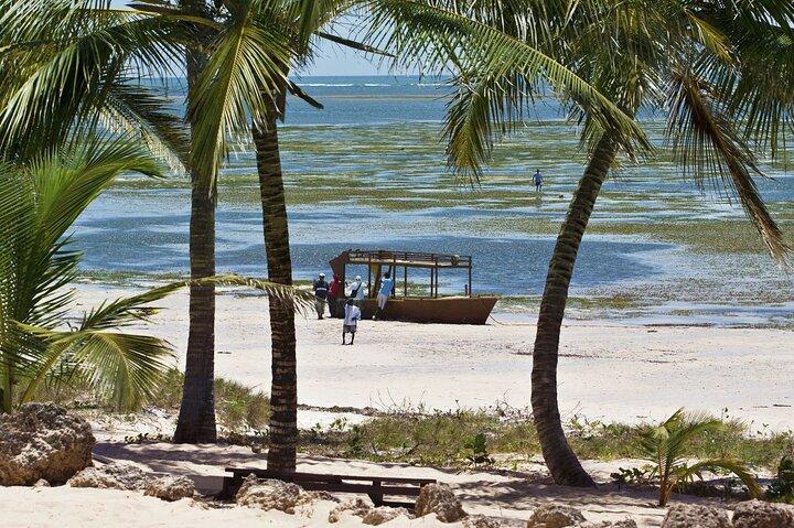 2 Days 1 Night Diani Beach Safari By Air From Nairobi