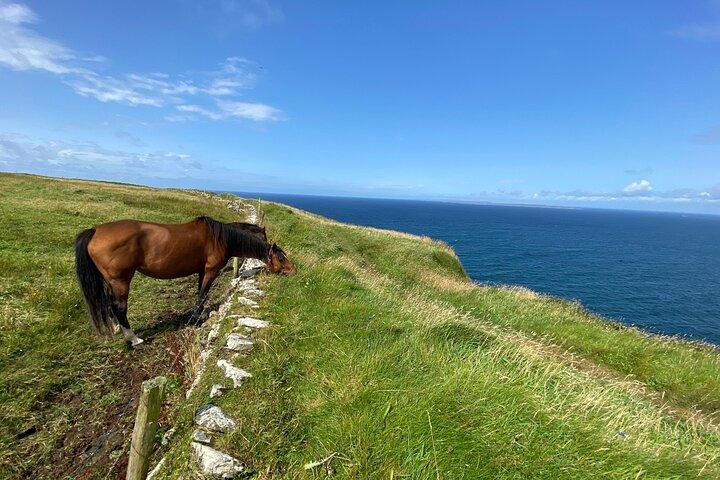 Cliffs of Moher Hiking Tour from Galway - Small Group