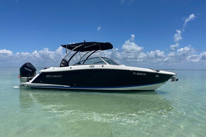 Key Largo Bay Dolphin Sunset Tour