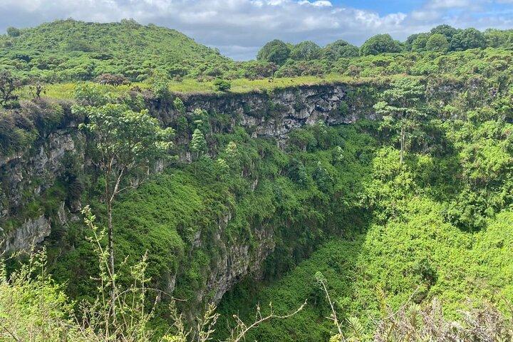 Giant Tortoises Tour, Lava Tunnels & Stop at Los Gemelos Craters”