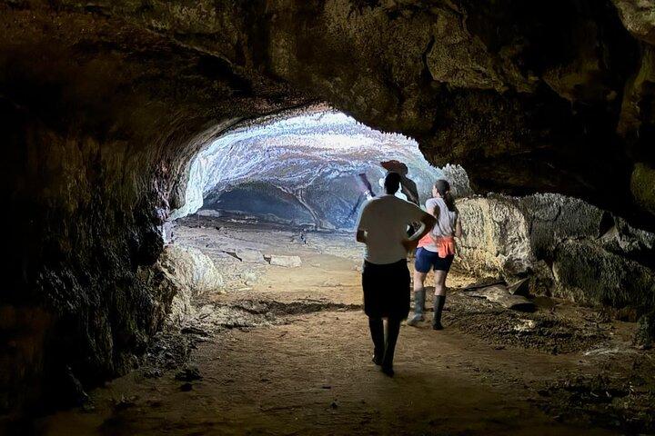 Giant Tortoises Tour, Lava Tunnels & Stop at Los Gemelos Craters”