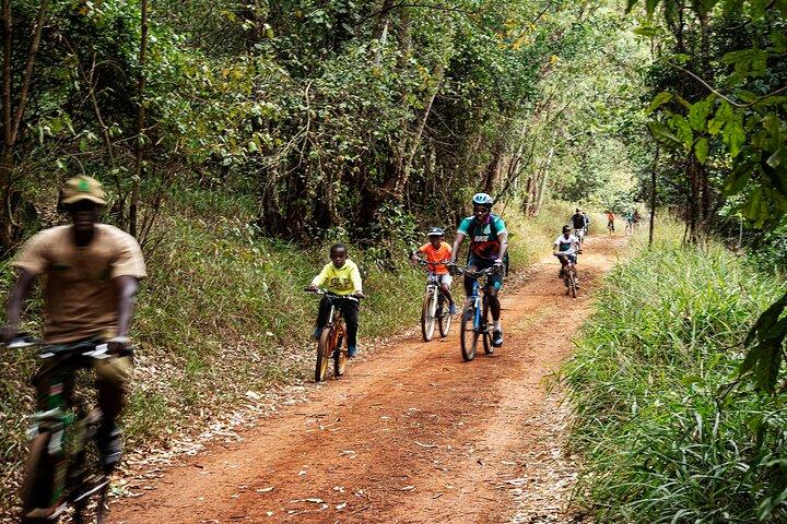Karura Forest Nature Trail Day Tour