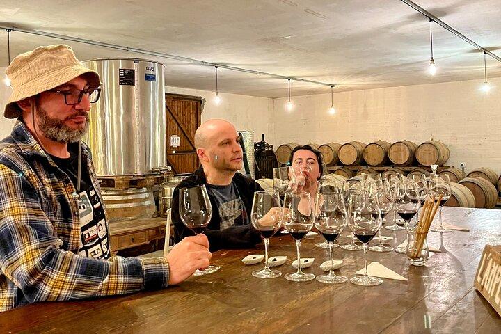 Margaux & Médoc: half day private tour in a classic car
