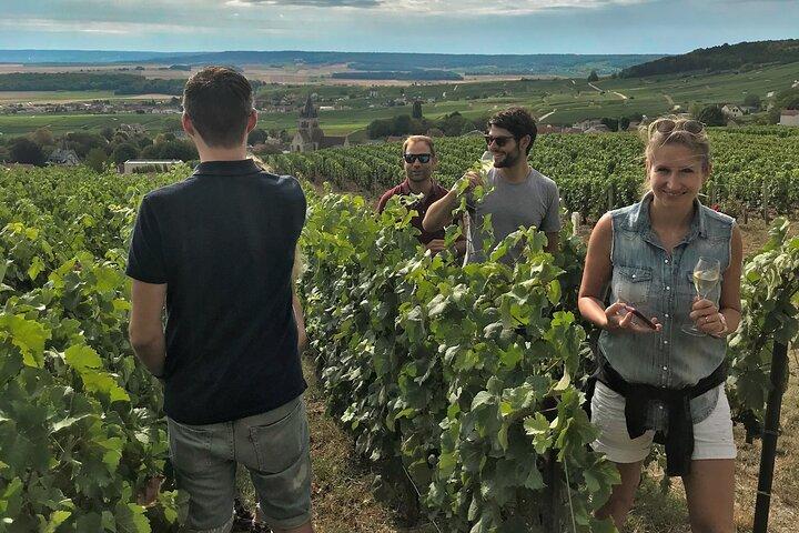 The Secrets of Champagne by a Passionate Winemaker (English)