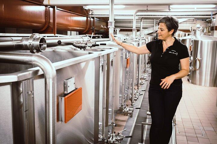 The Secrets of Champagne by a Passionate Winemaker (English)